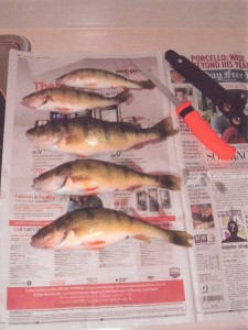 CUTCO KNIFE _amp_ PERCH 07-03-09